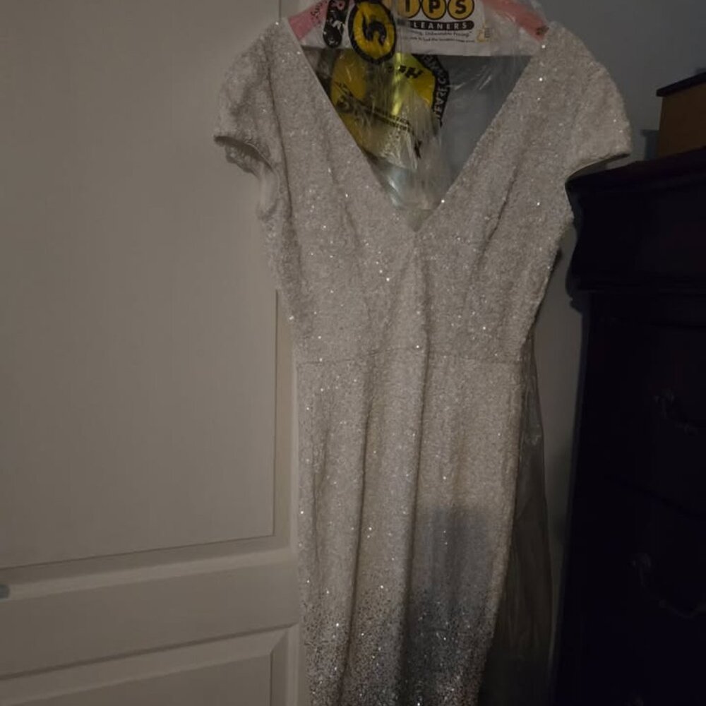 Dress the Population Silver Midi Dress